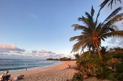 Hawaii Web Design
